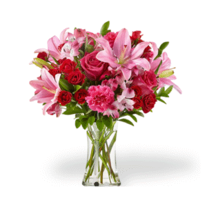 Radiant Celebration - Sandy's Flowers and Gifts