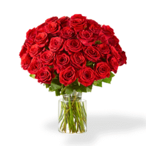 Lovely Wishes Three Dozen Long Stem Red Roses